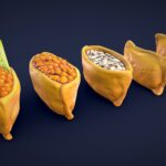 Stylized Inari Sushi – Low Poly