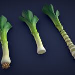 Stylized Leek – Low Poly