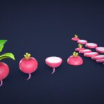 Stylized Radish – Low Poly