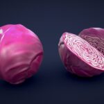 Stylized Red Cabbage – Low Poly