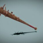 Rockvile Slugger – Fallout 4