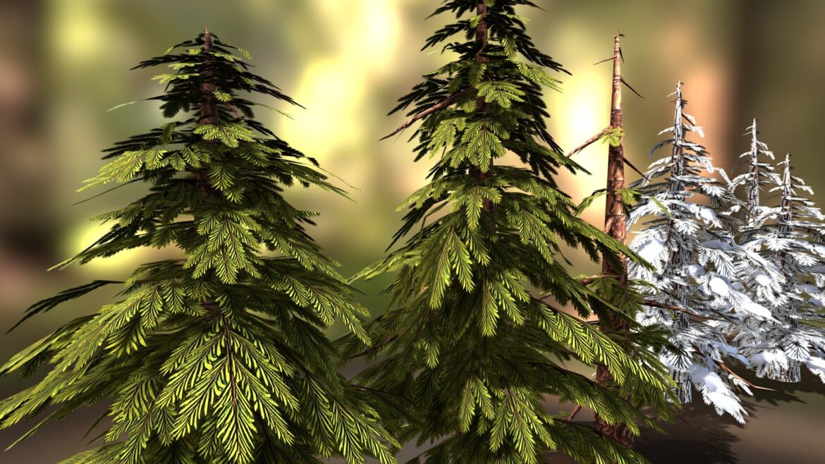 summer amp snowy pine trees 3d model