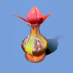 Elven Potion