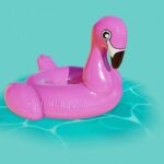 float pool pack iii 3d model