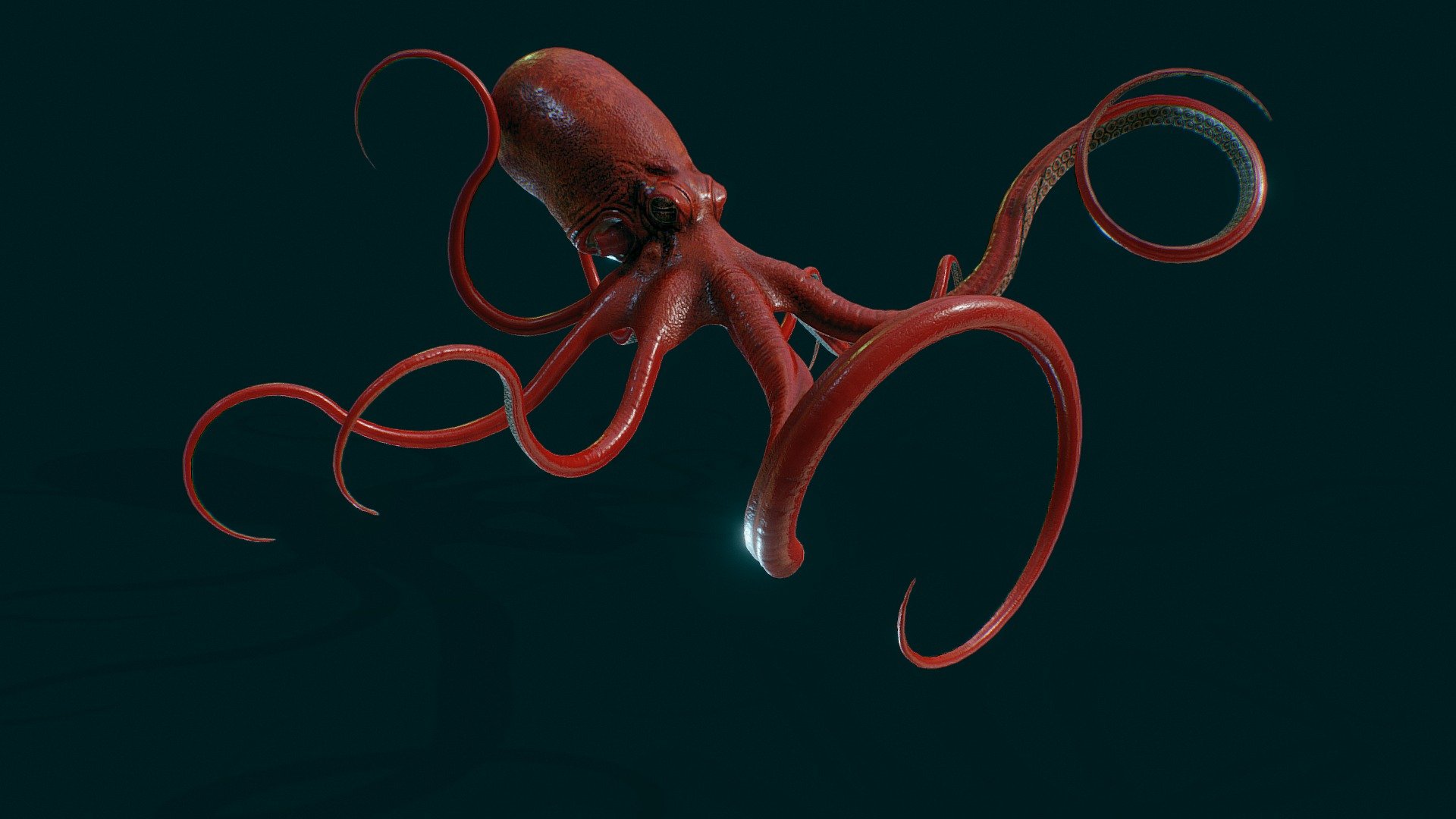 Kraken