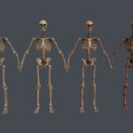 Bloody Human Skeleton – 4 PBR Material Variants