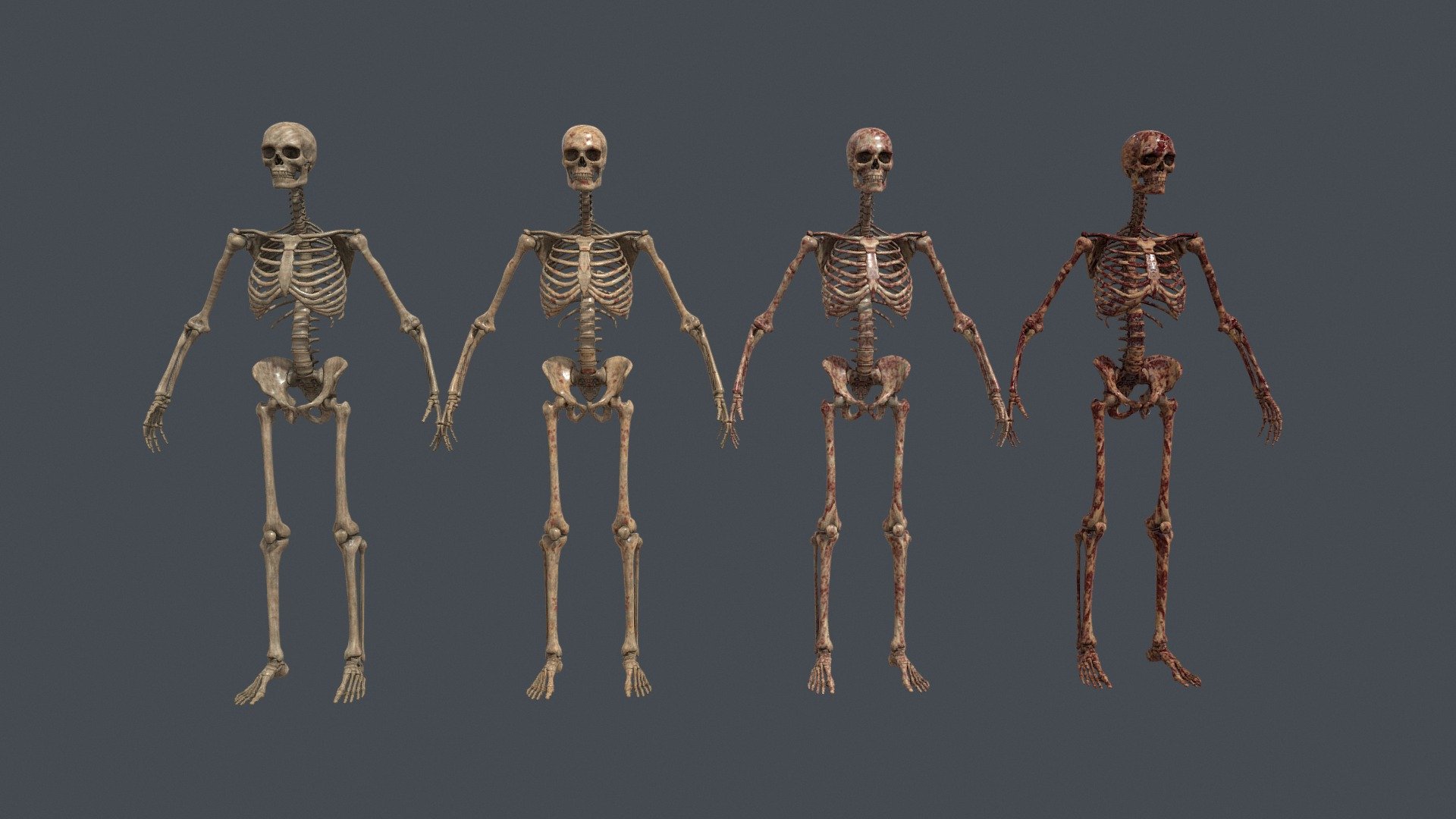 Bloody Human Skeleton – 4 PBR Material Variants