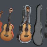 Classic guitar with case