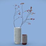 Alia Vases