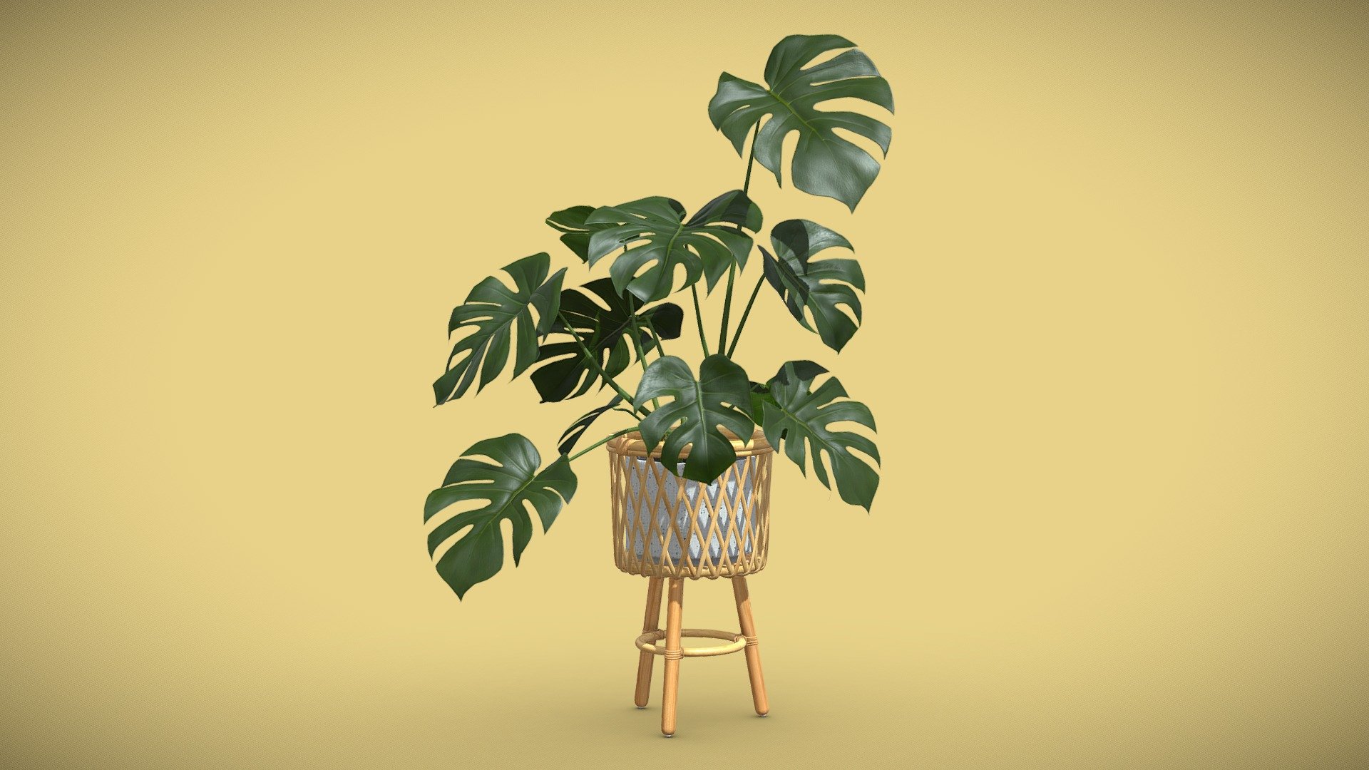 Bamboo Stand Plant Monstera Deliciosa