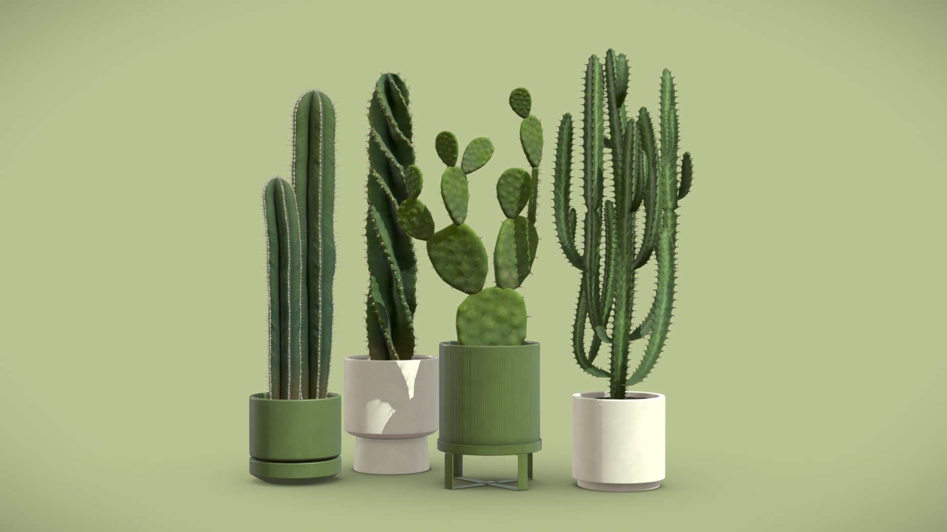 Cactus Pack 02