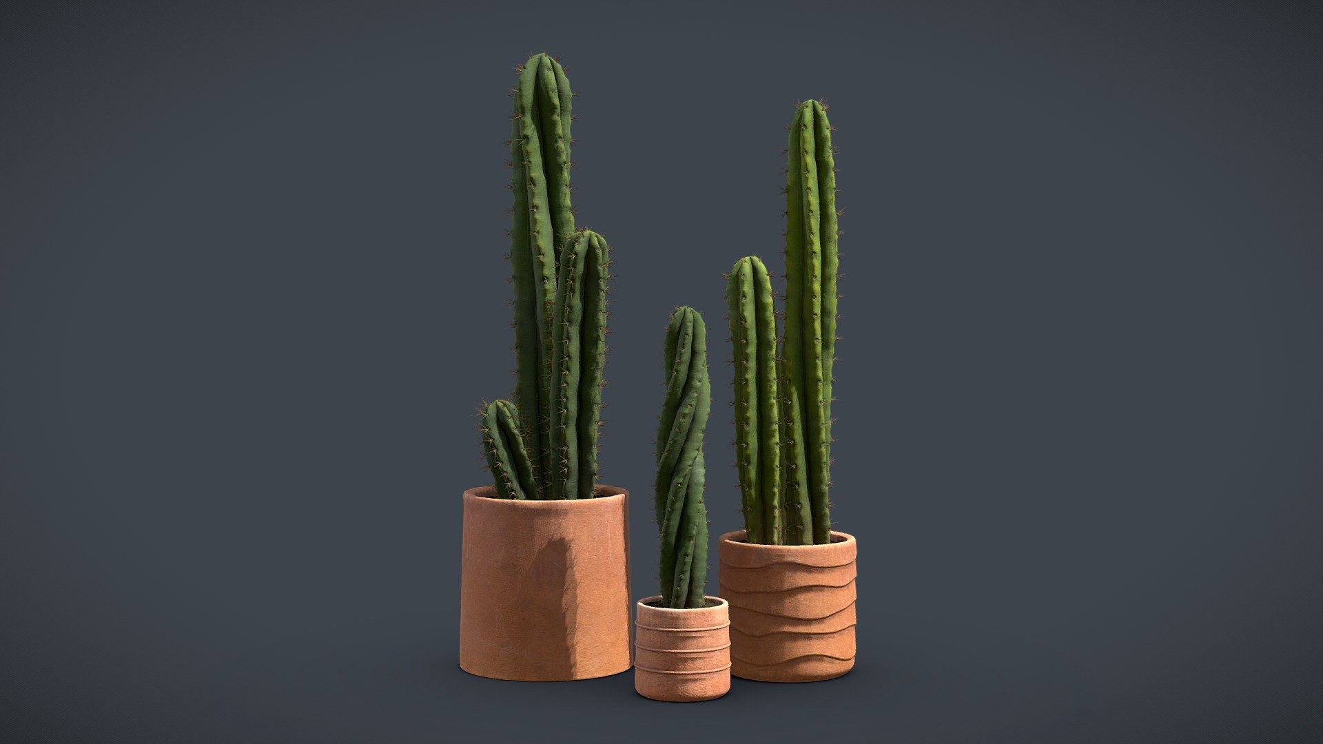 Cactus Pack
