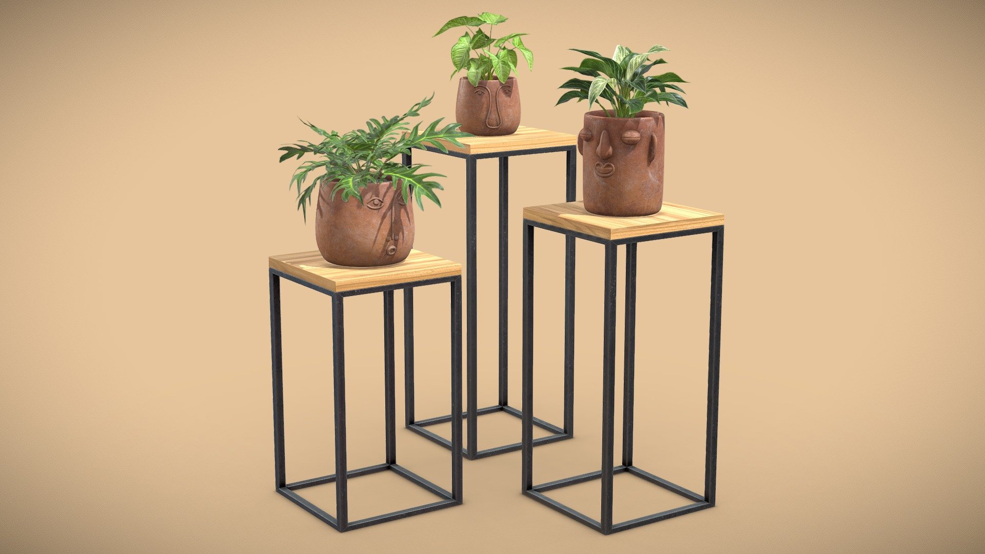 Facepot Terracota Plants Set