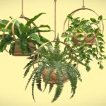 Hanging Plants 02