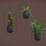 Hanging Plants 03