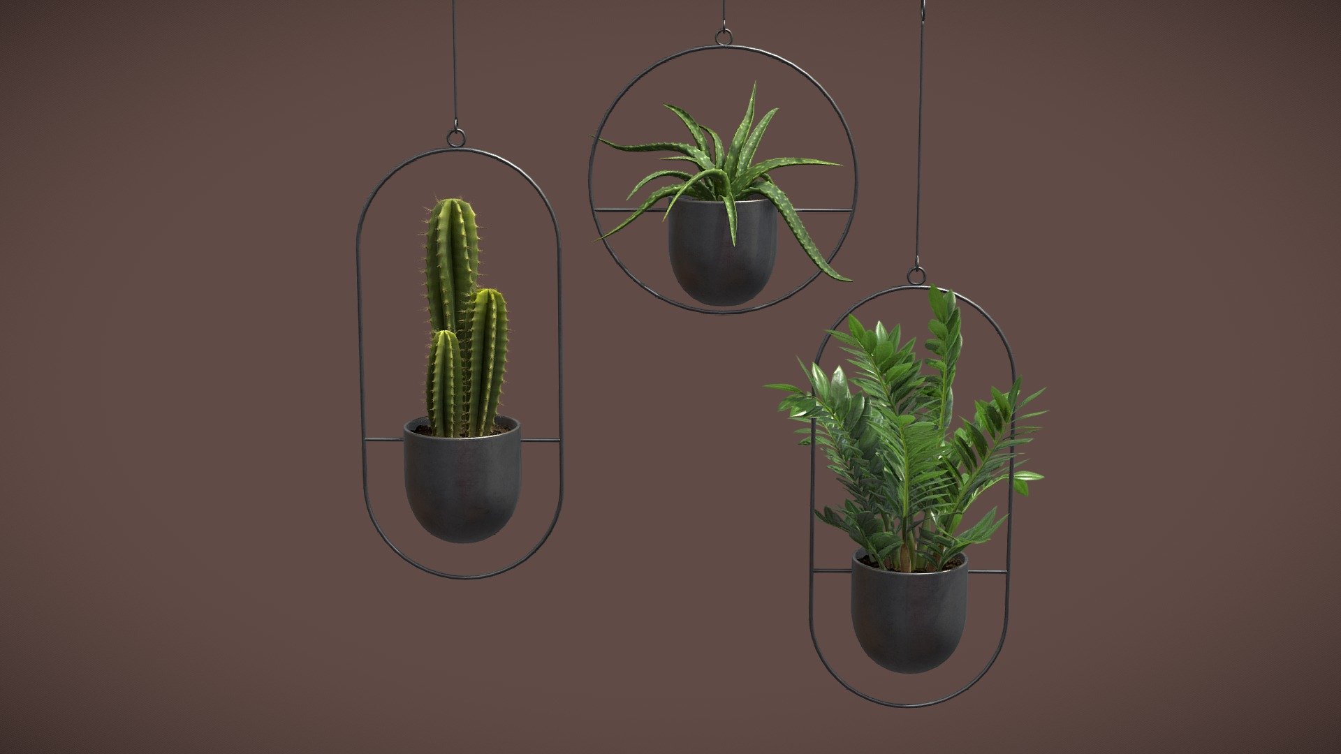 Hanging Plants 03
