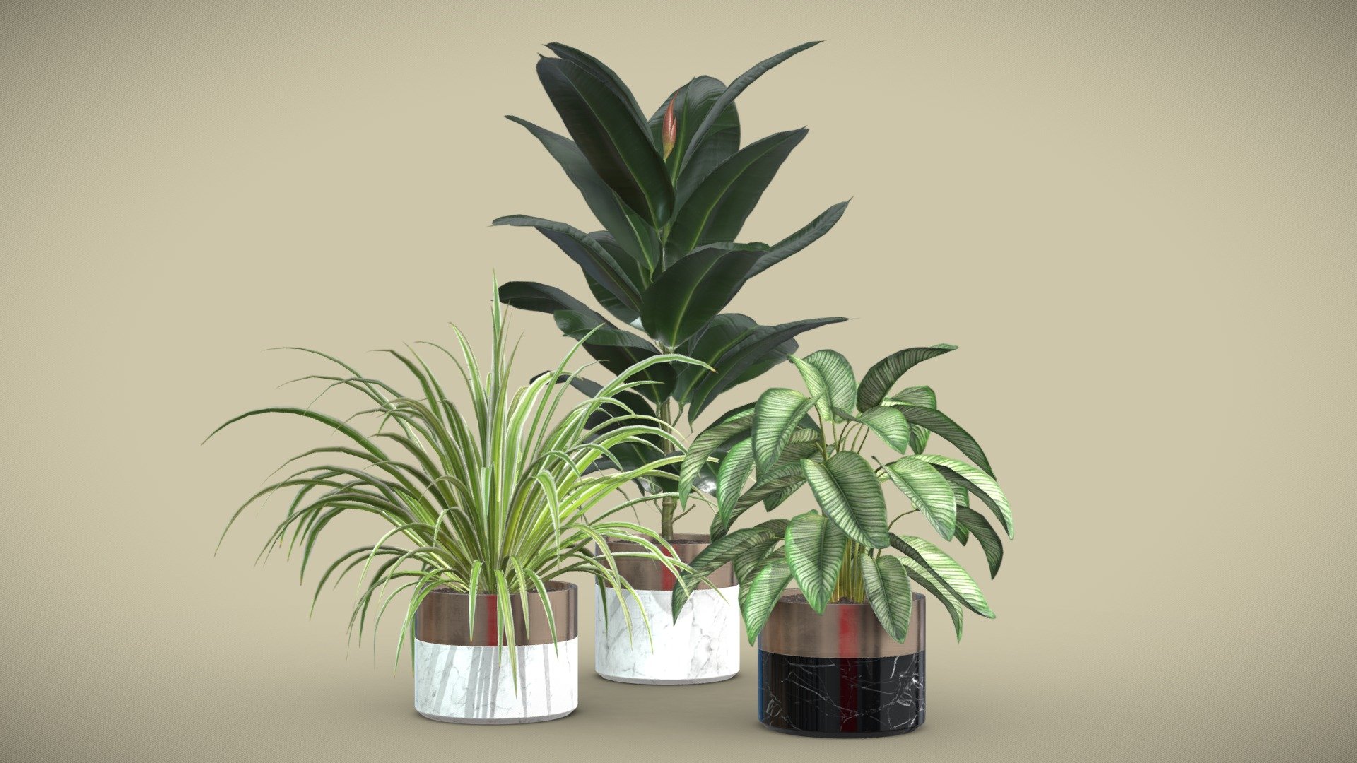 Indoor Plants Pack 02