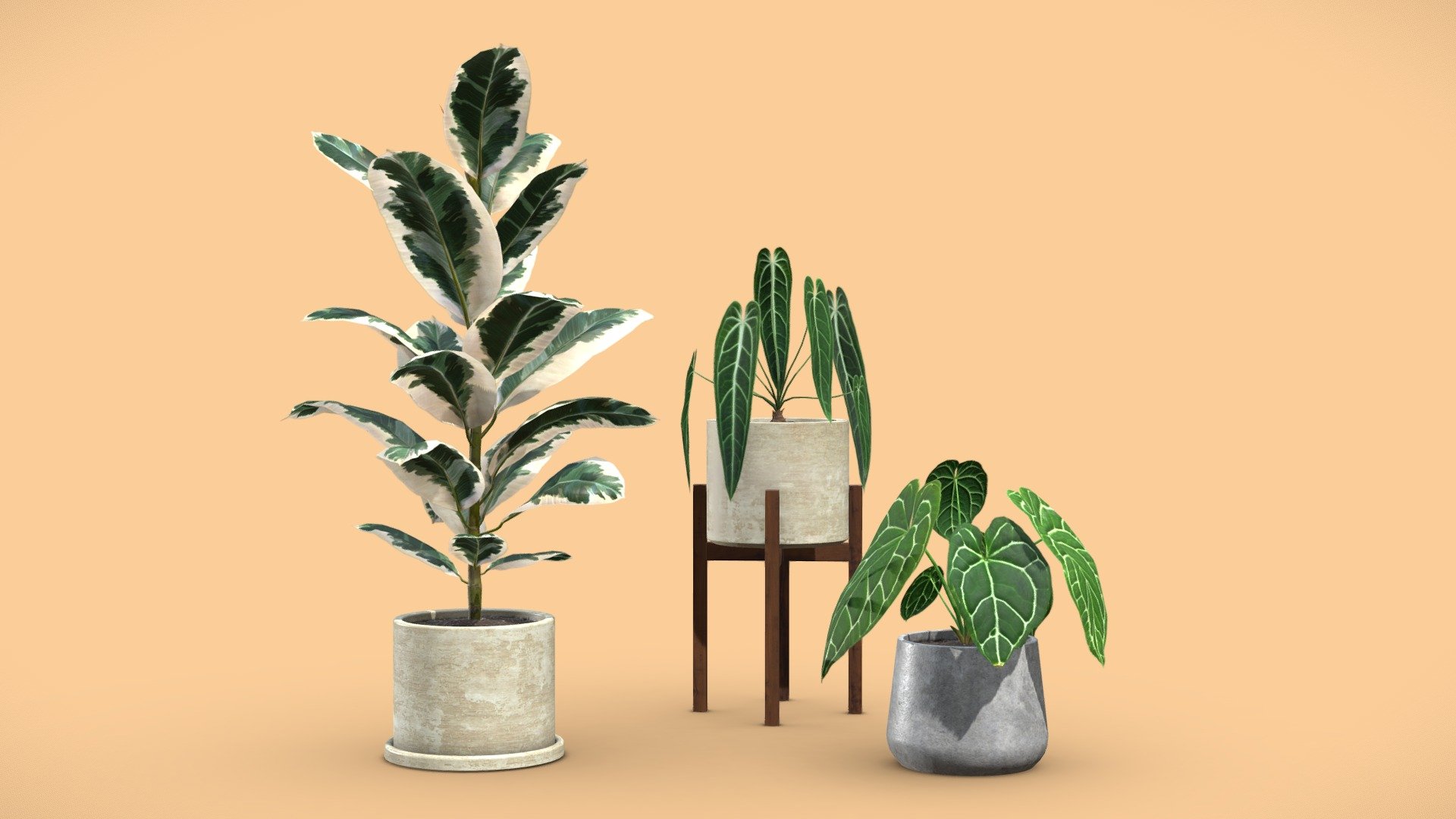Indoor Plants Pack 04