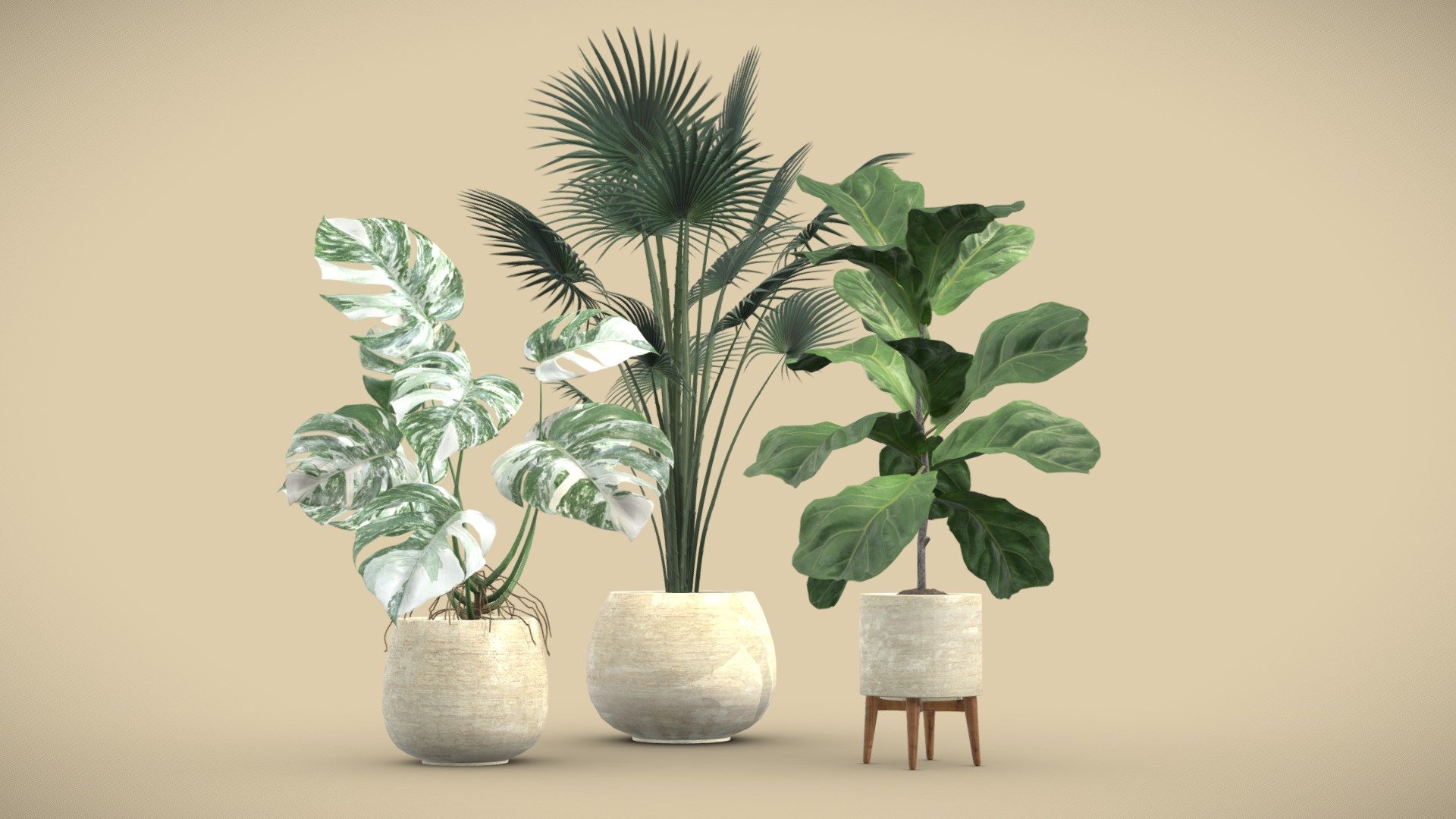 Indoor Plants Pack 05