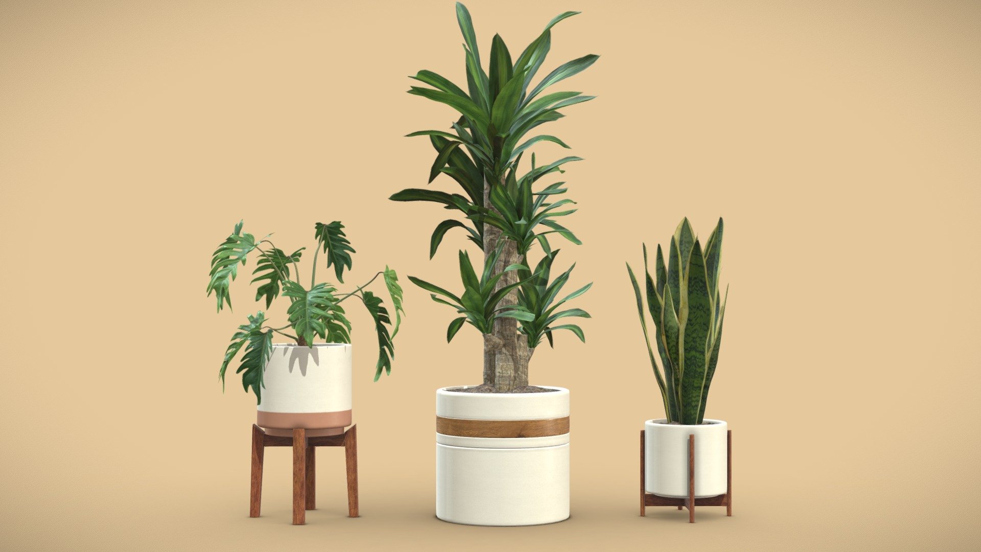 Indoor Plants Pack 06