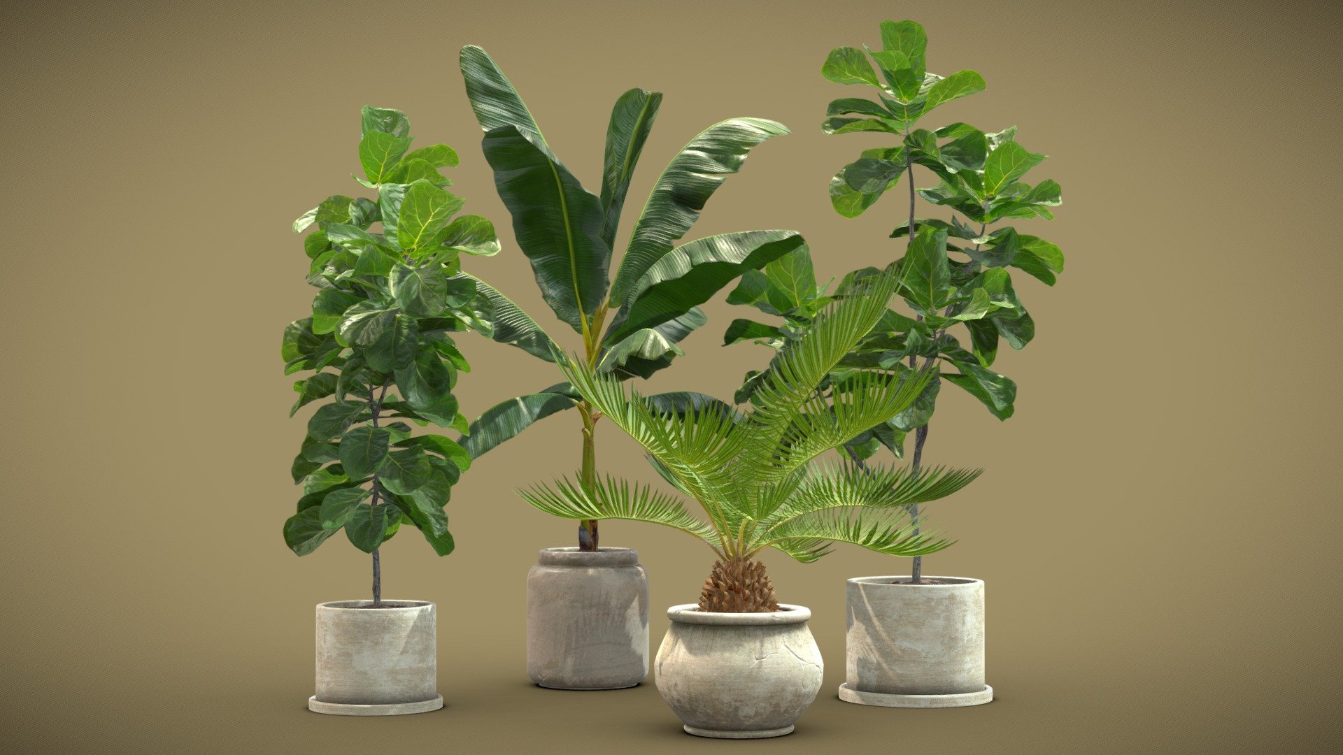 Indoor Plants Pack 11