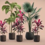 Indoor Plants Pack 12