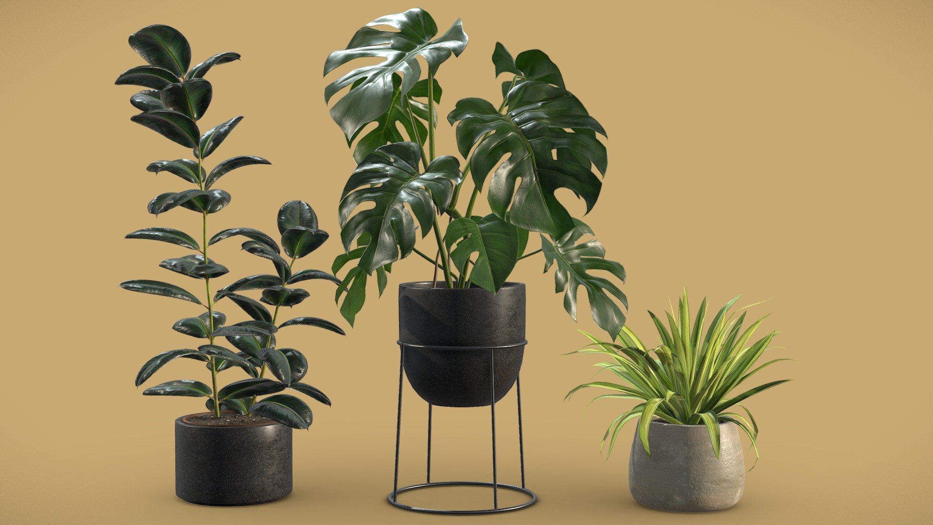 Indoor Plants Pack 15