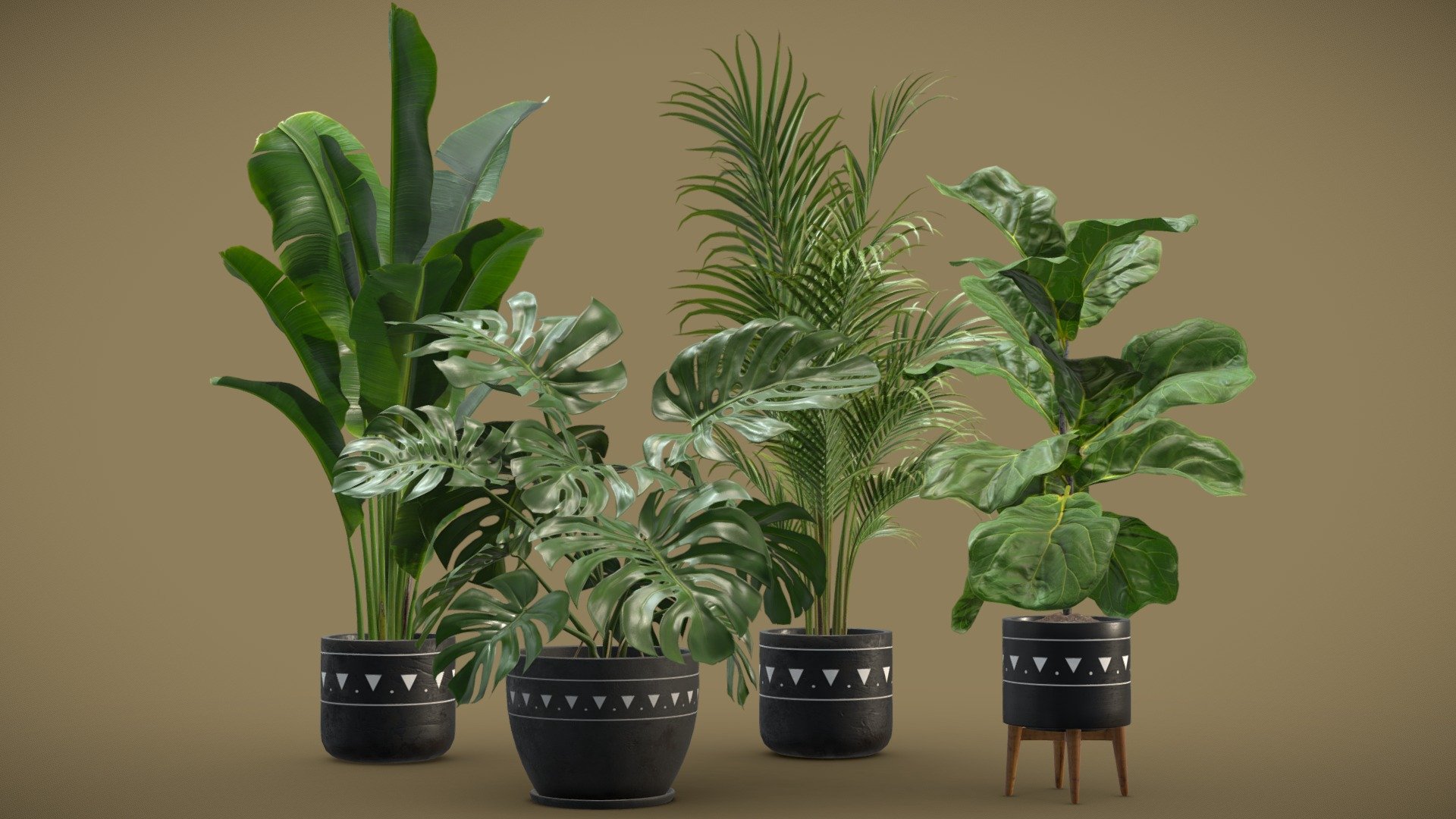Indoor Plants Pack 17