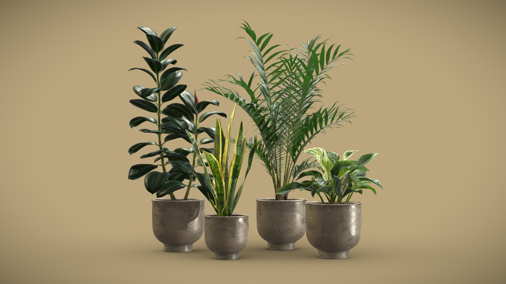 Indoor Plants Pack 20