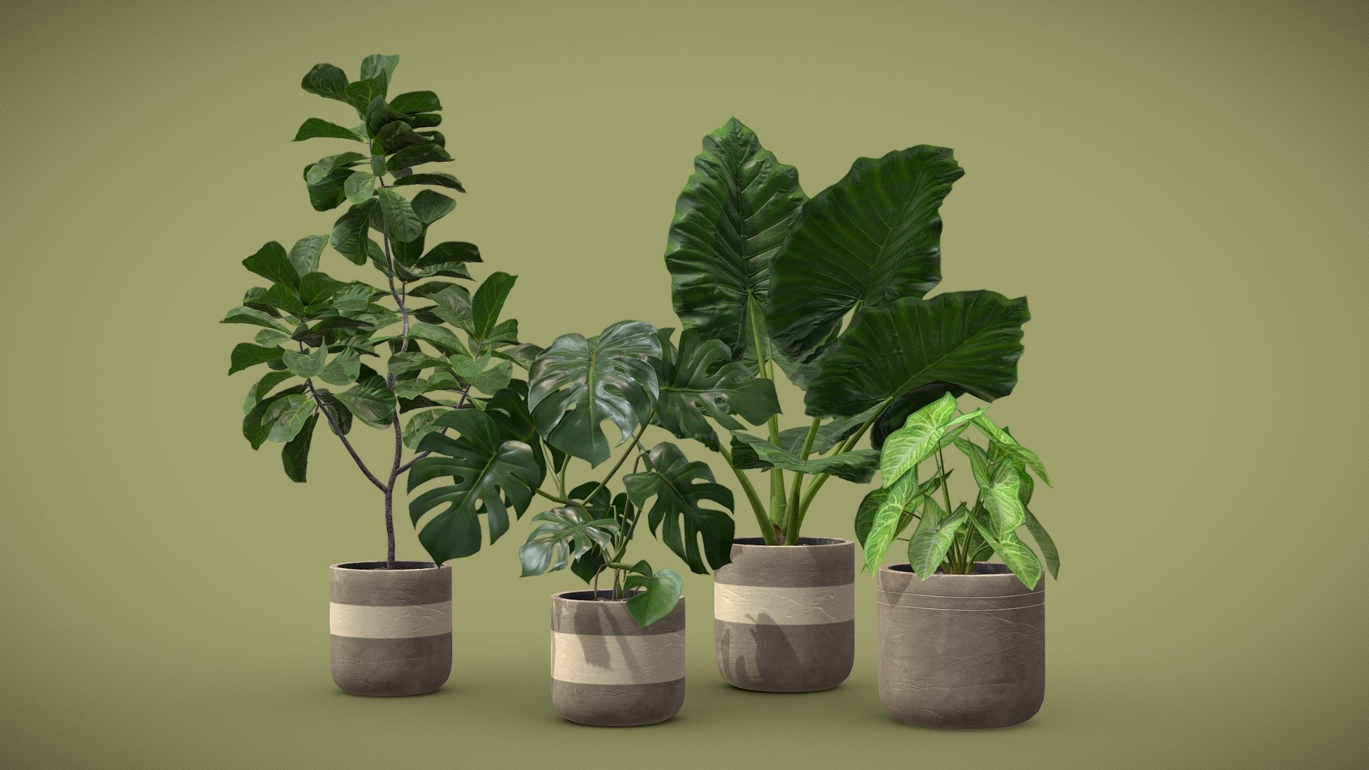 Indoor Plants Pack 21