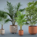 Indoor Plants Pack 22