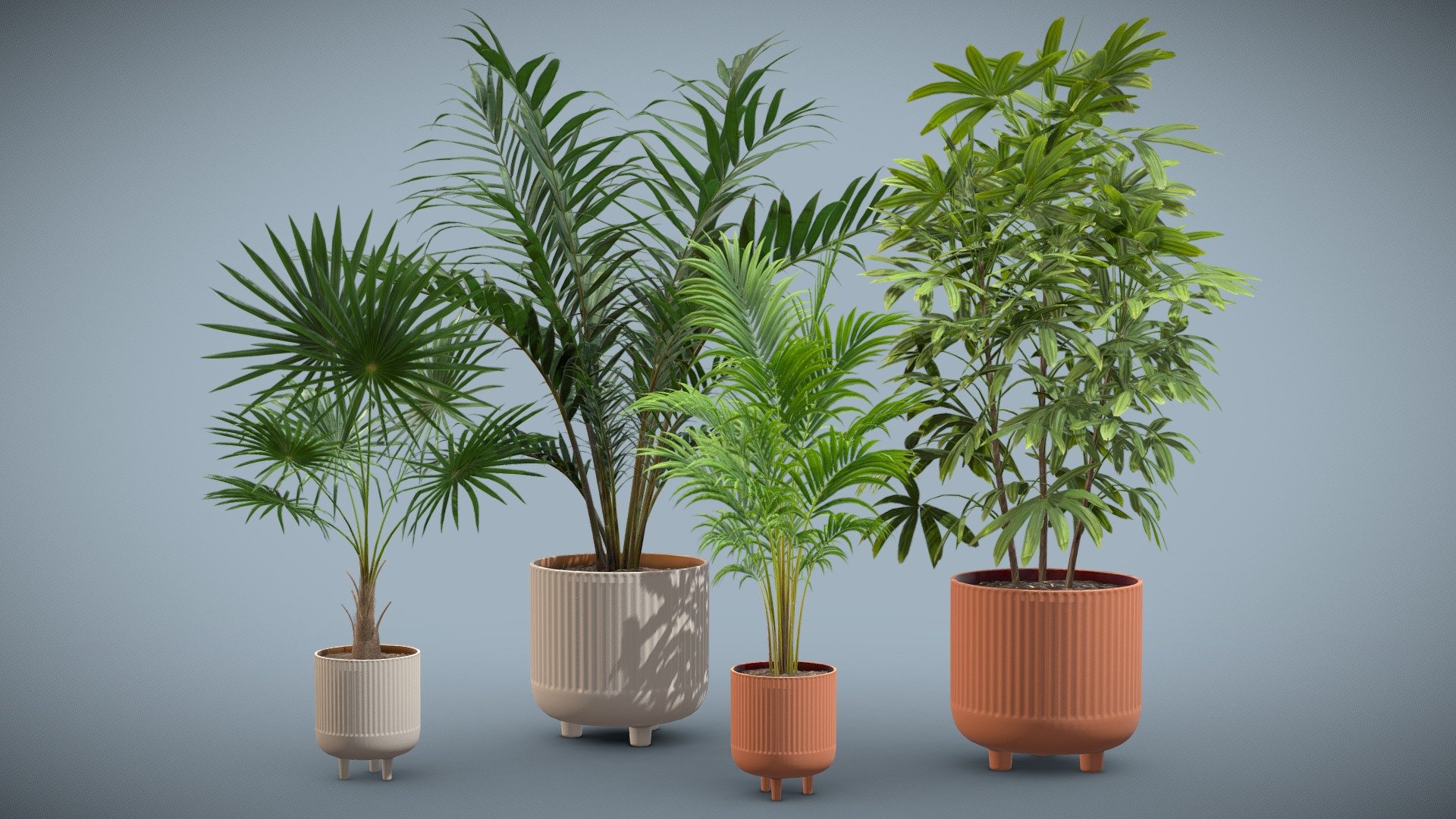 Indoor Plants Pack 22