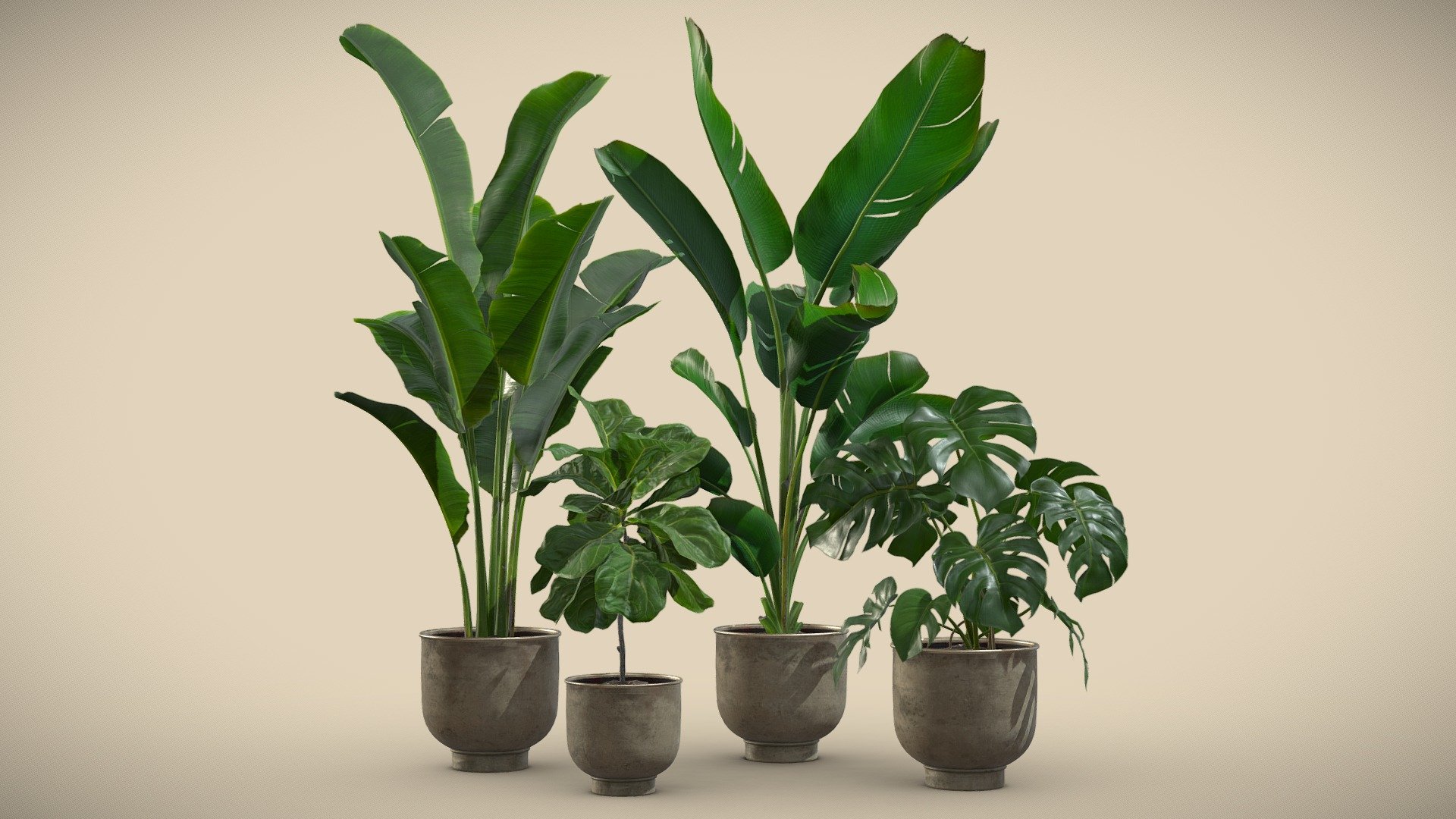 Indoor Plants Pack 23