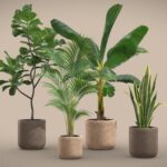 Indoor Plants Pack 24