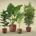 Indoor Plants Pack 26