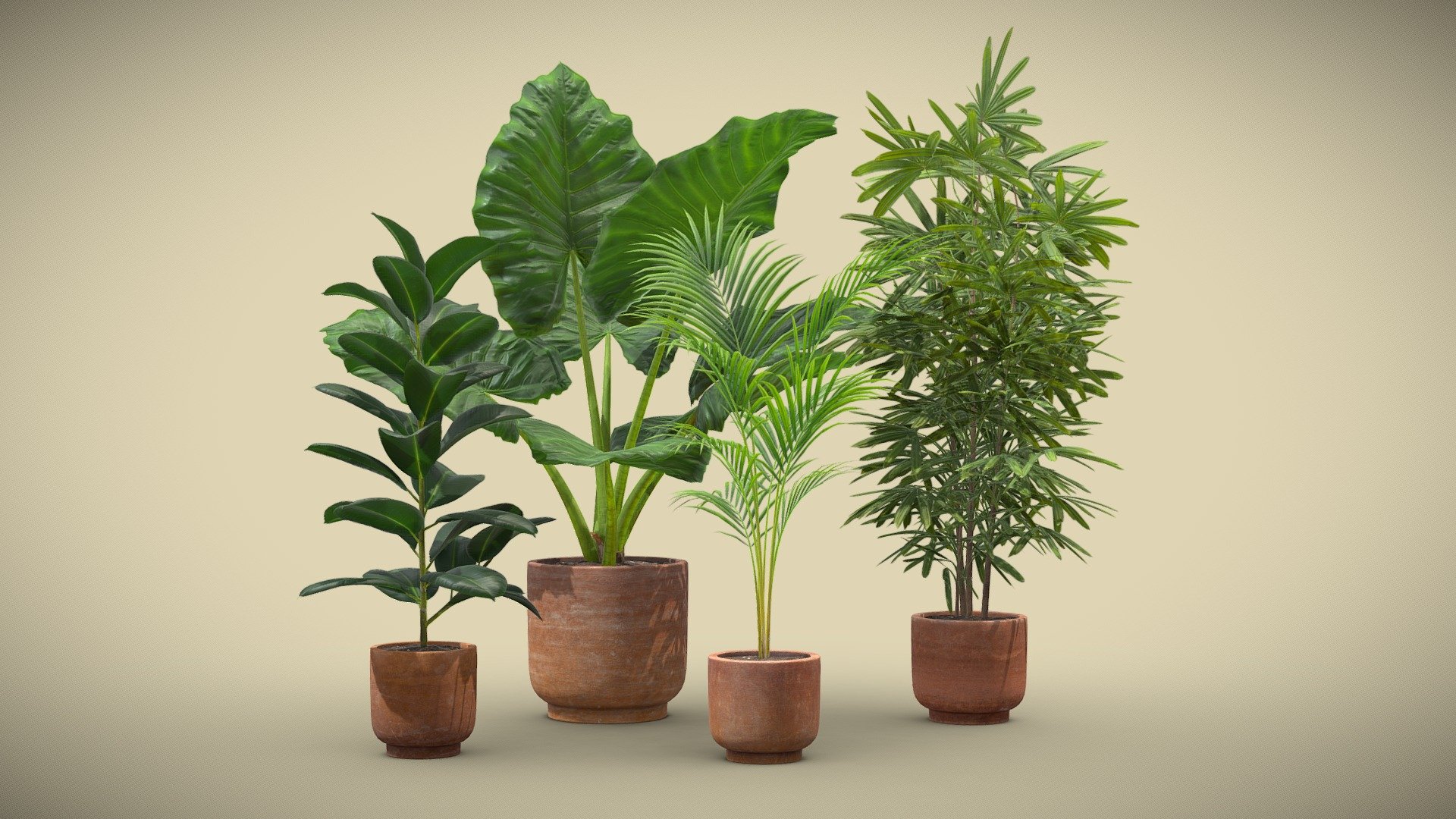 Indoor Plants Pack 26