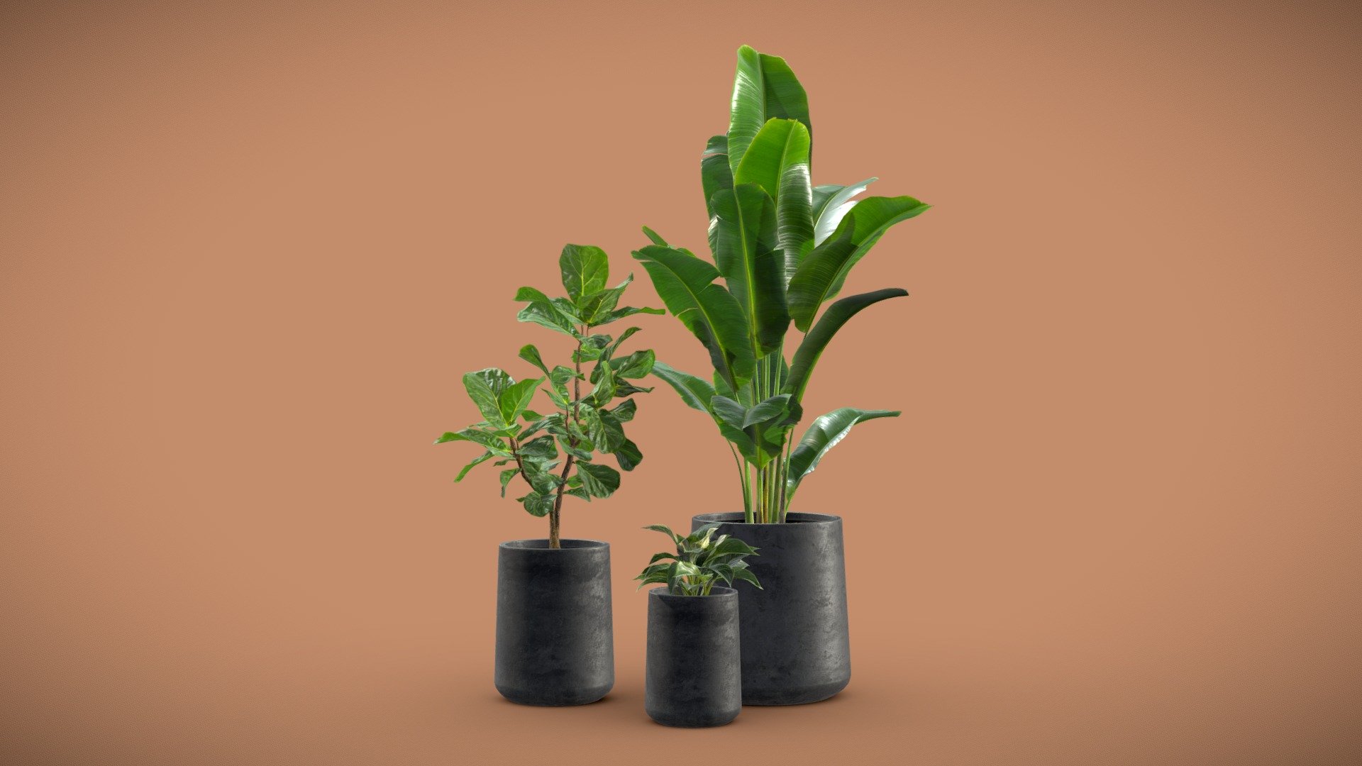 Indoor Plants Pack 28