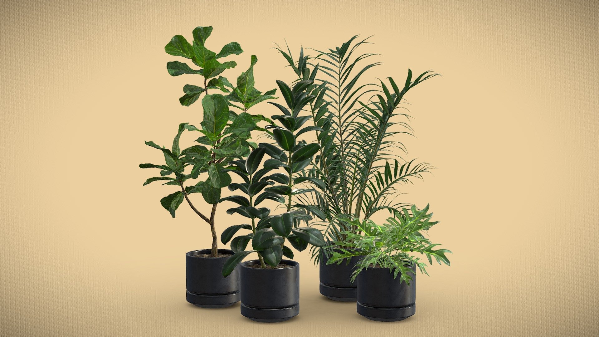 Indoor Plants Pack 31