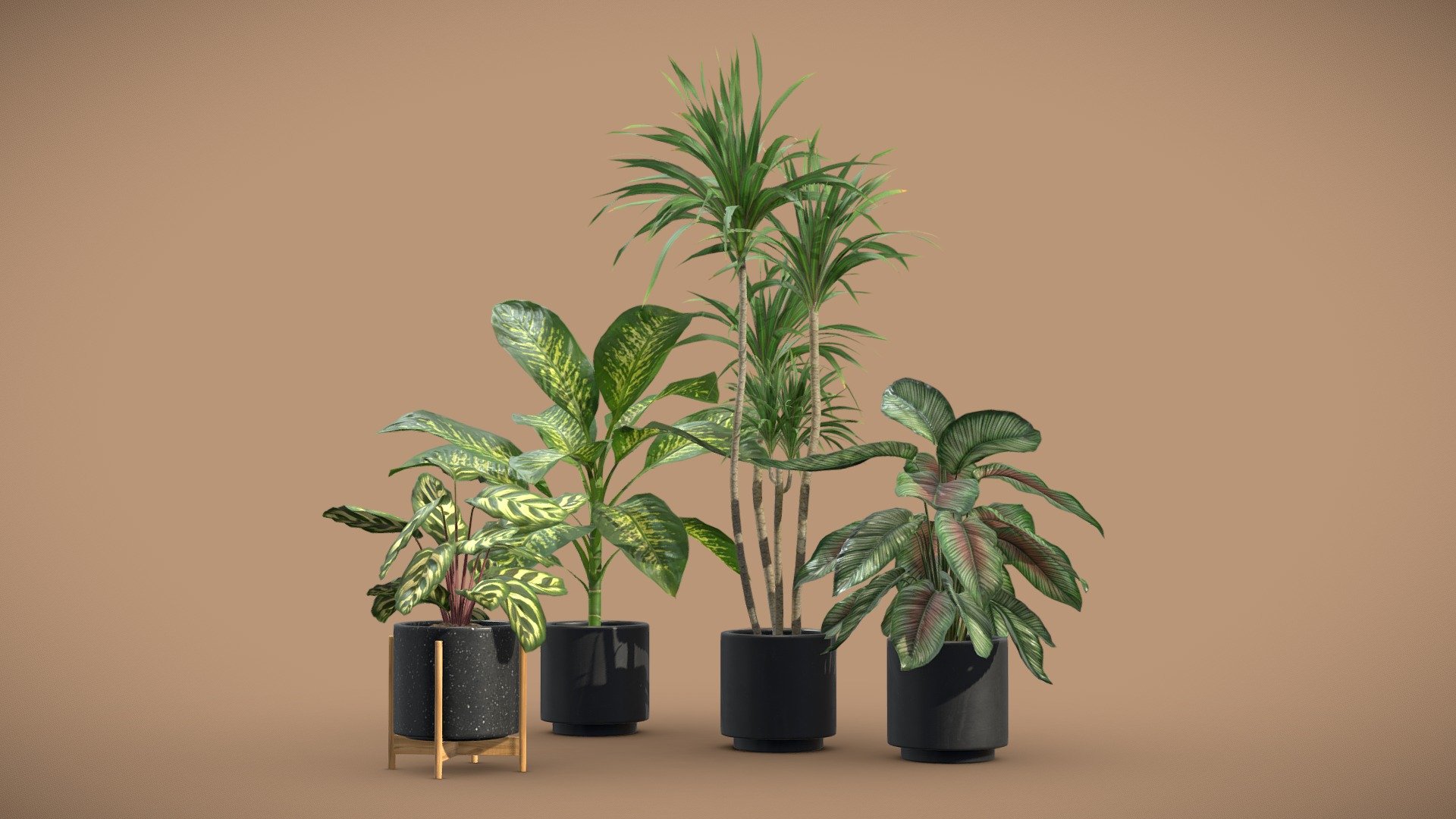 Indoor Plants Pack 32