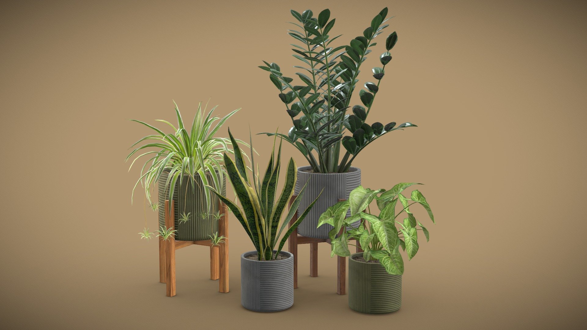 Indoor Plants Pack 36