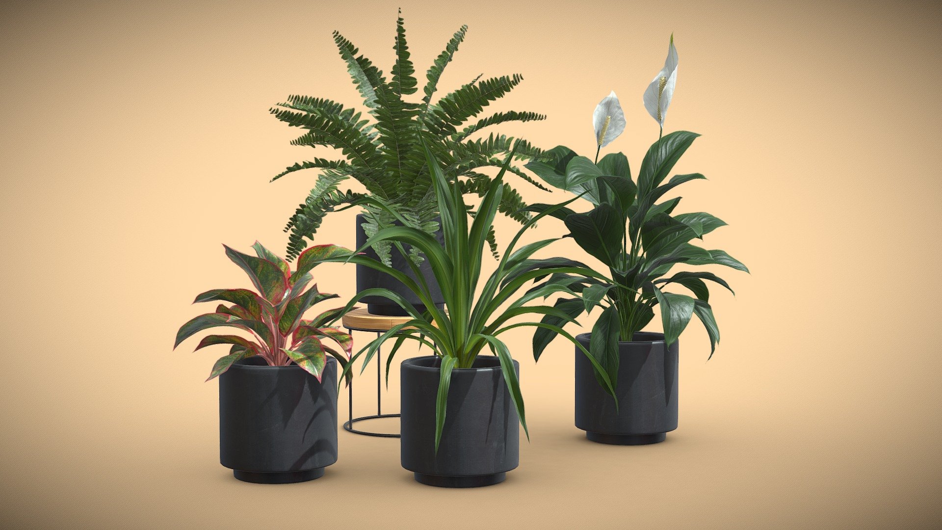 Indoor Plants Pack 37
