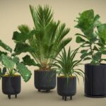 Indoor Plants Pack 38