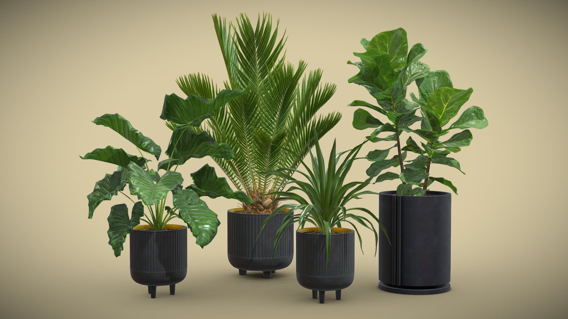 Indoor Plants Pack 38