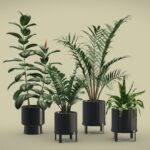 Indoor Plants Pack 41