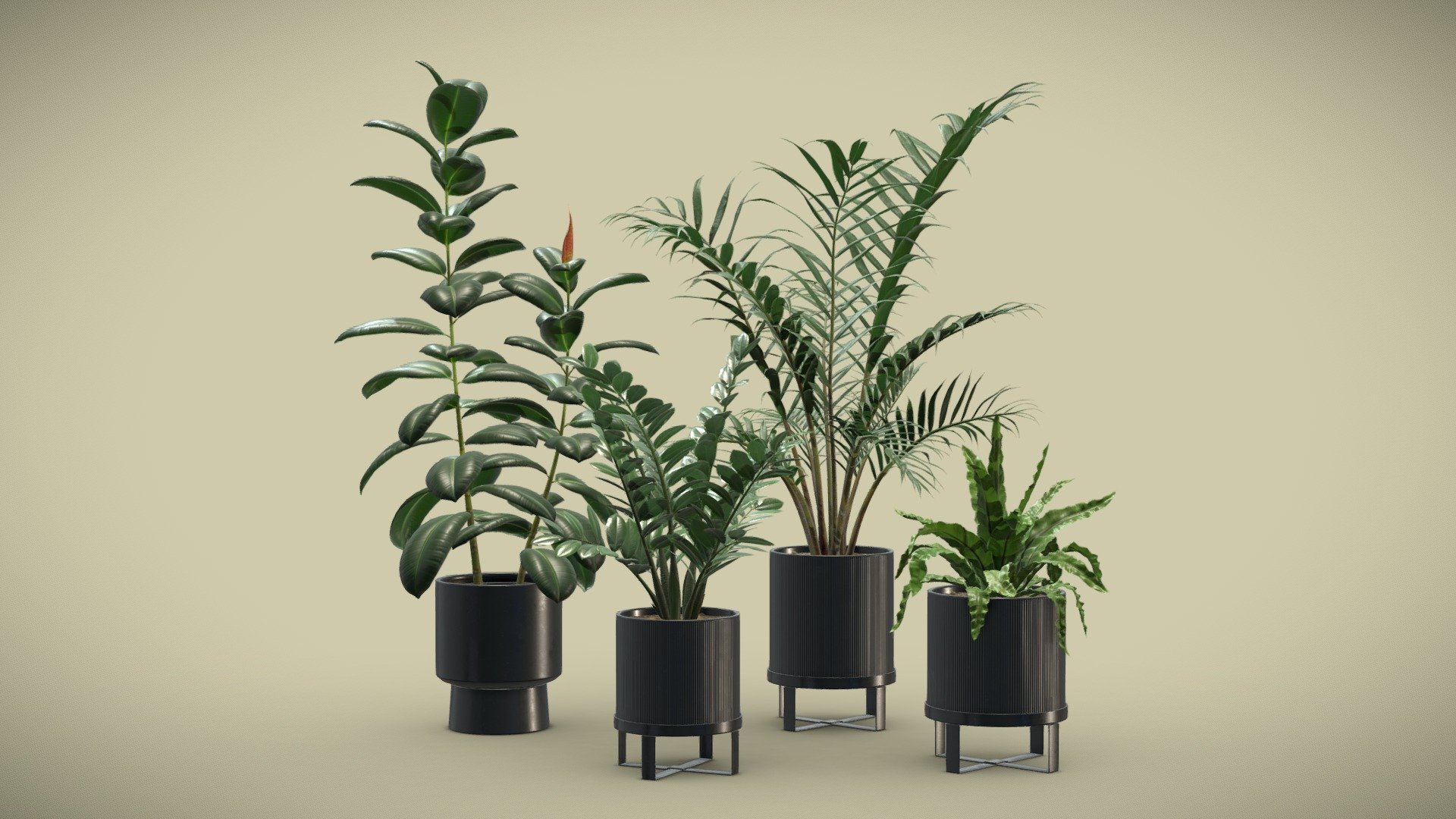 Indoor Plants Pack 41
