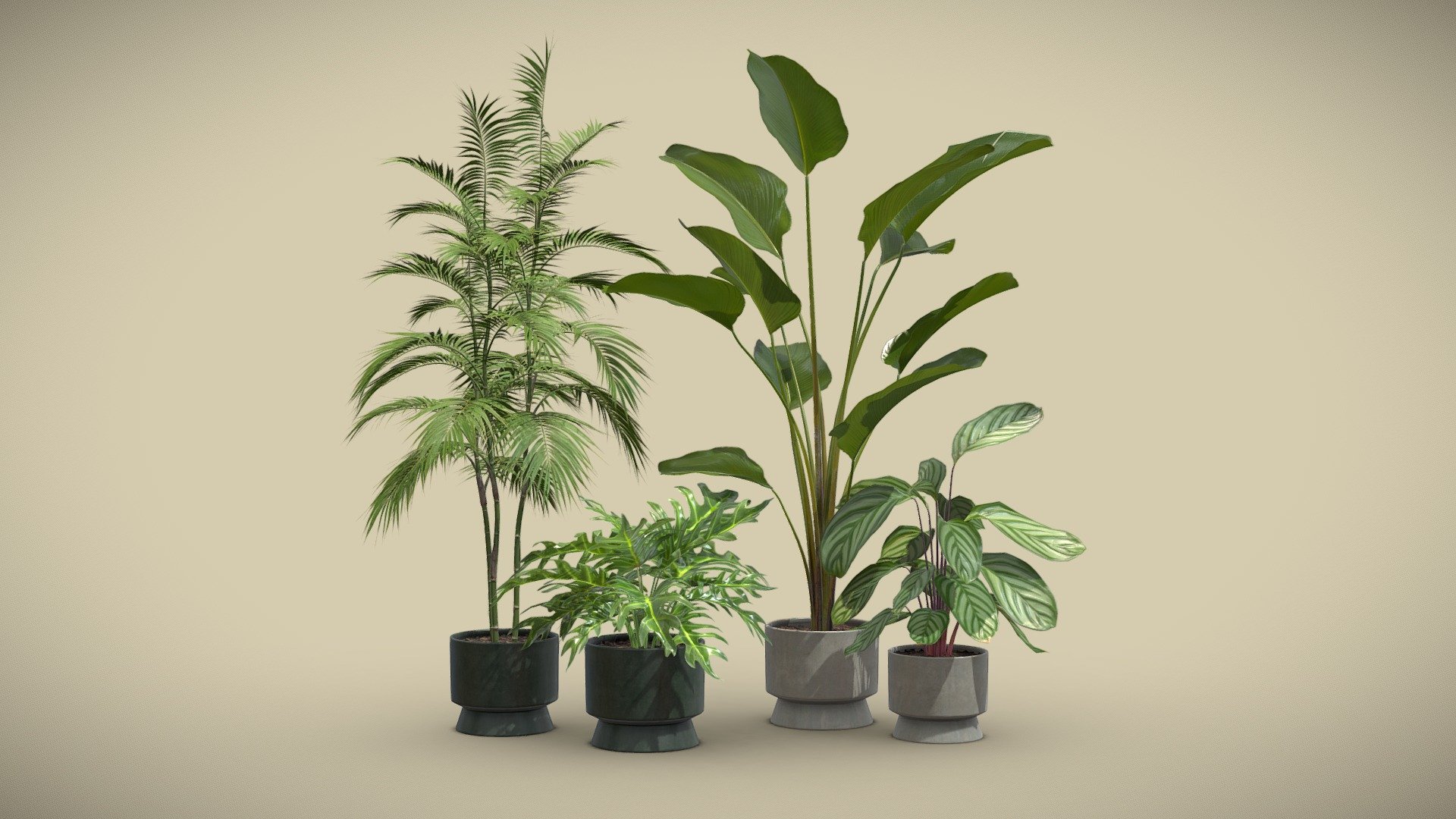 Indoor Plants Pack 42