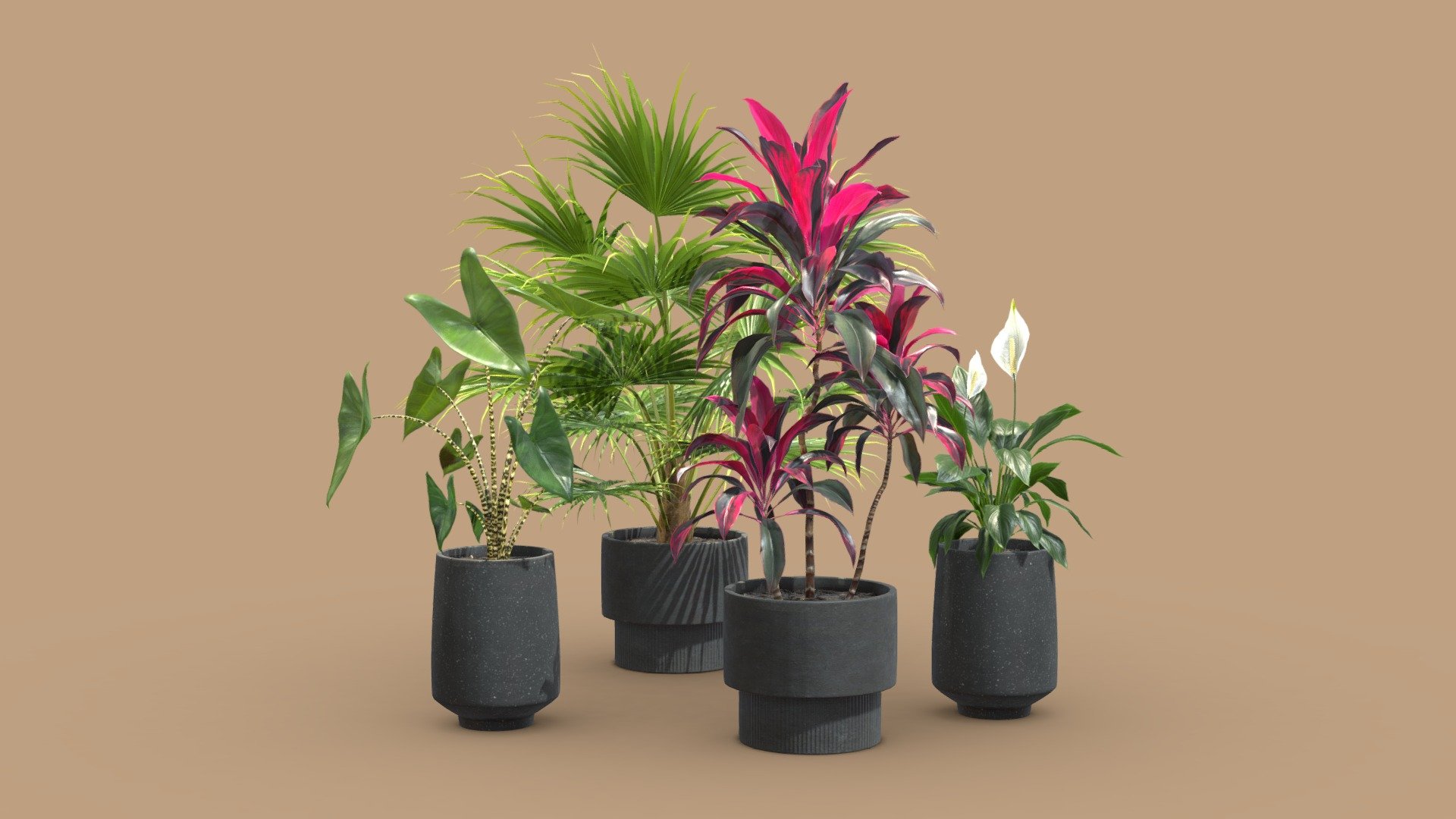 Indoor Plants Pack 44