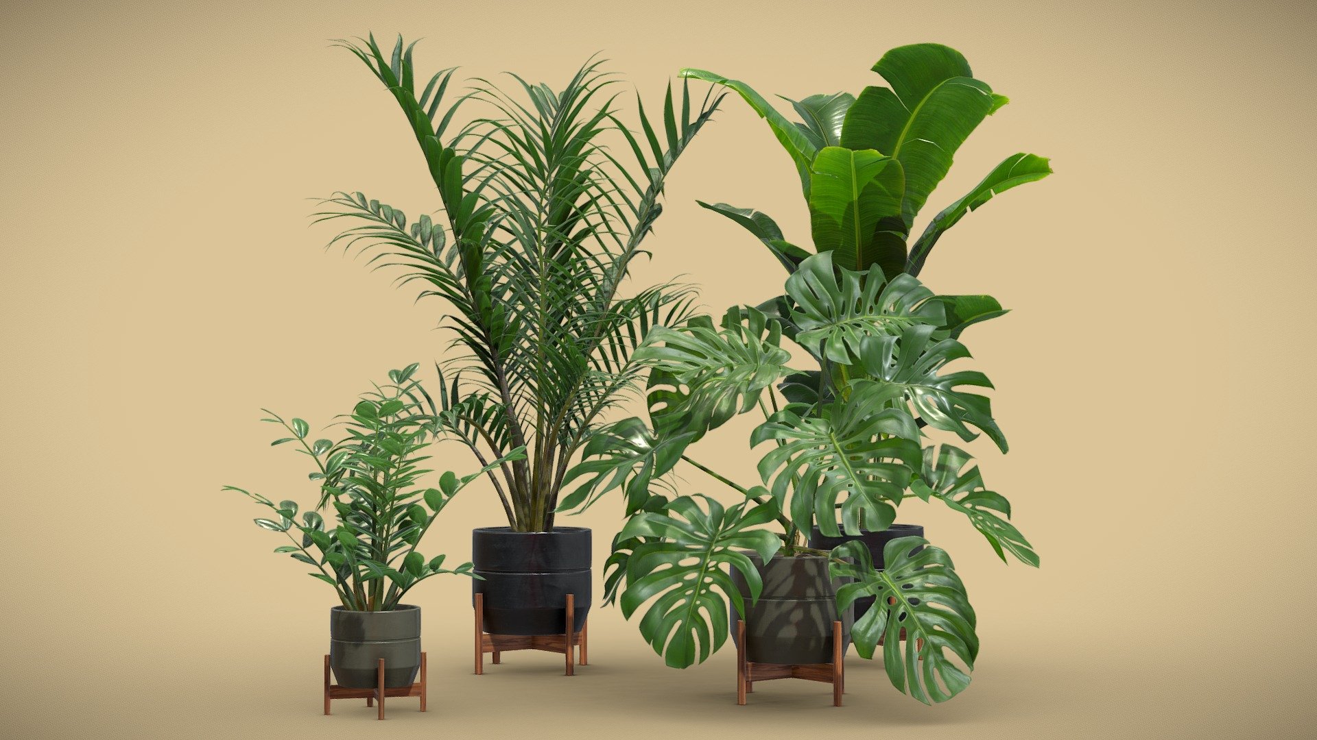 Indoor Plants Pack 48