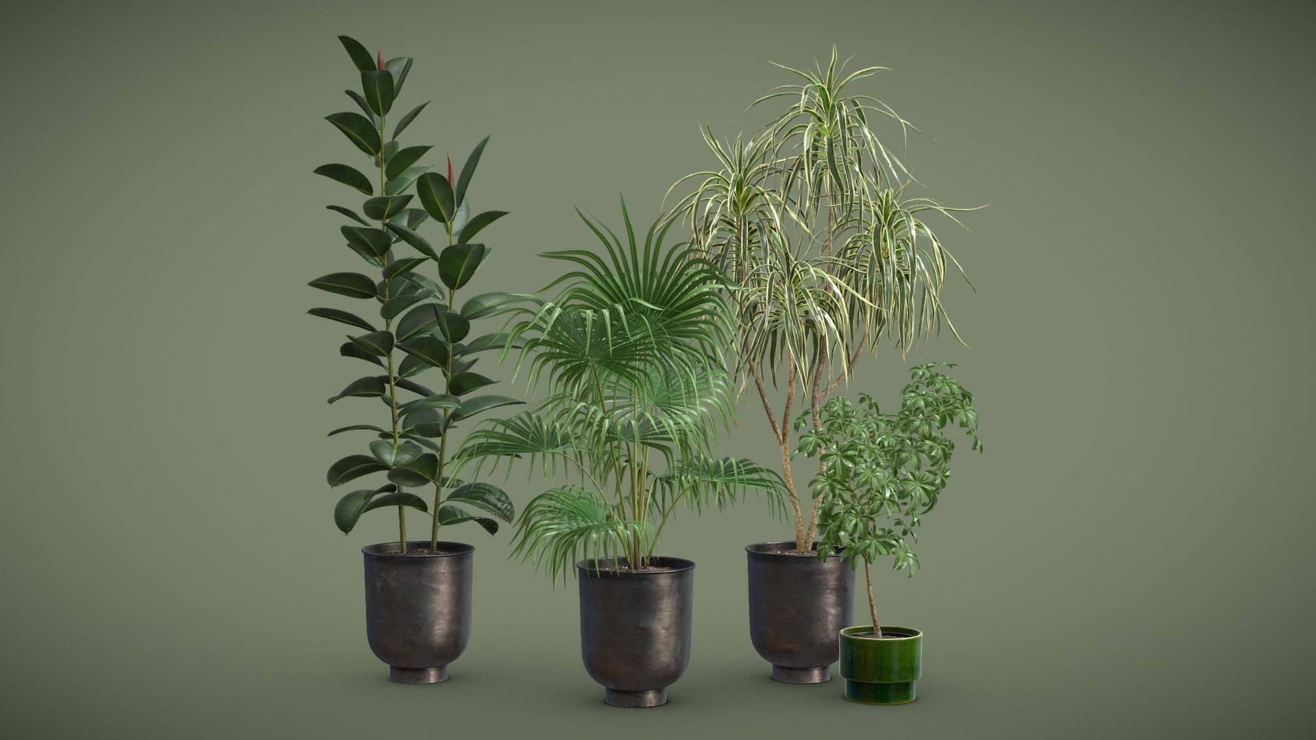 Indoor Plants Pack 52