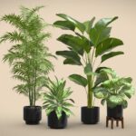 Indoor Plants Pack 54